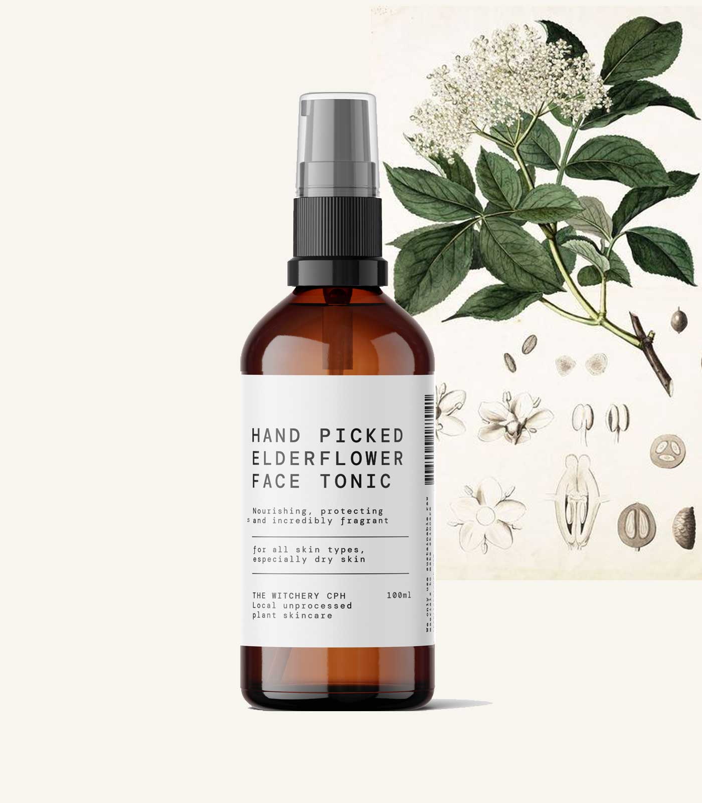 Húðtonik við Hyllublómu (Elderflower)