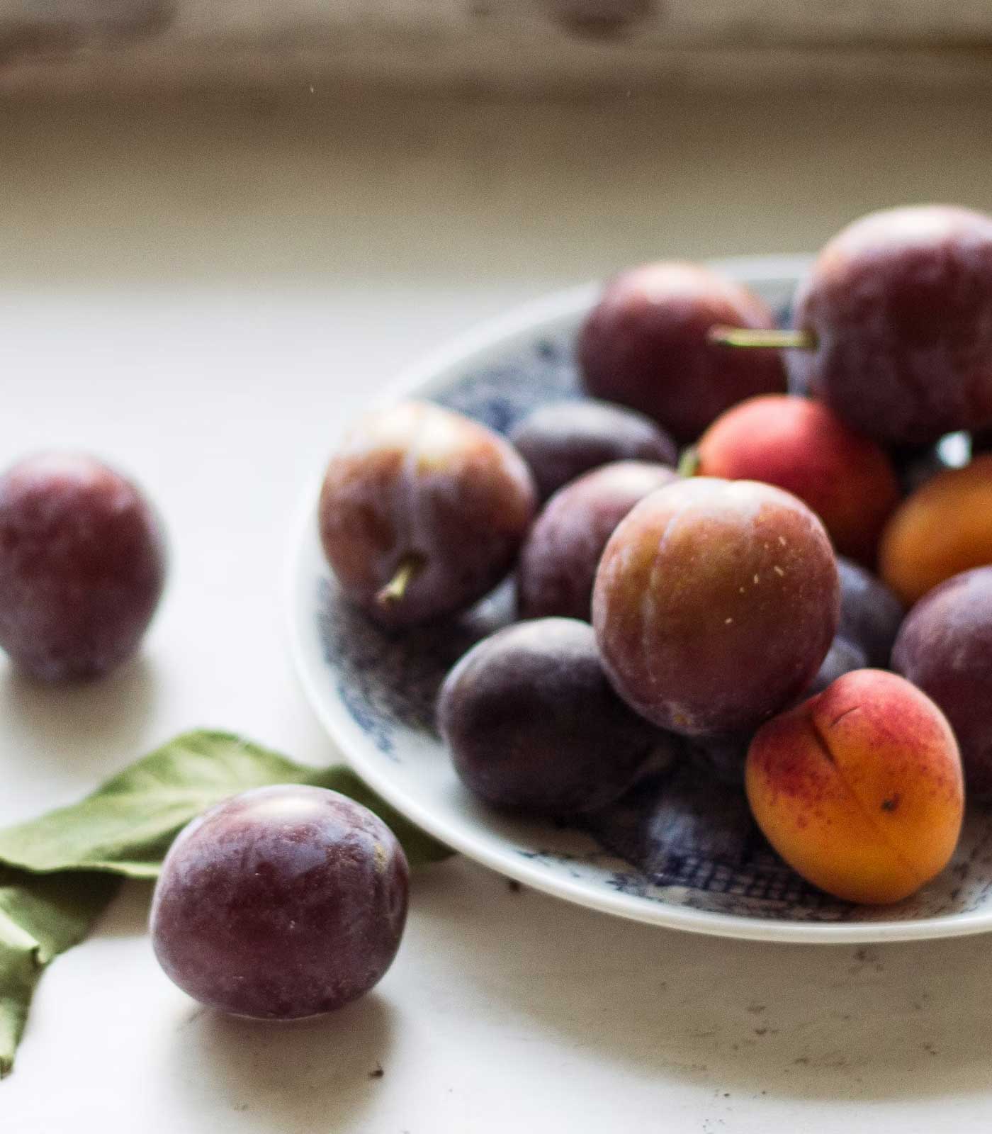 Andlitsolja við Blommu & Rósuber (Plum & Rosehip) - Kraftmikil fuktari