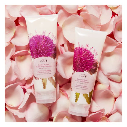PREORDER: Burdock and Neem Healthy Scalp Conditioner