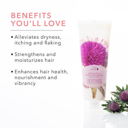 PREORDER: Burdock and Neem Healthy Scalp Conditioner