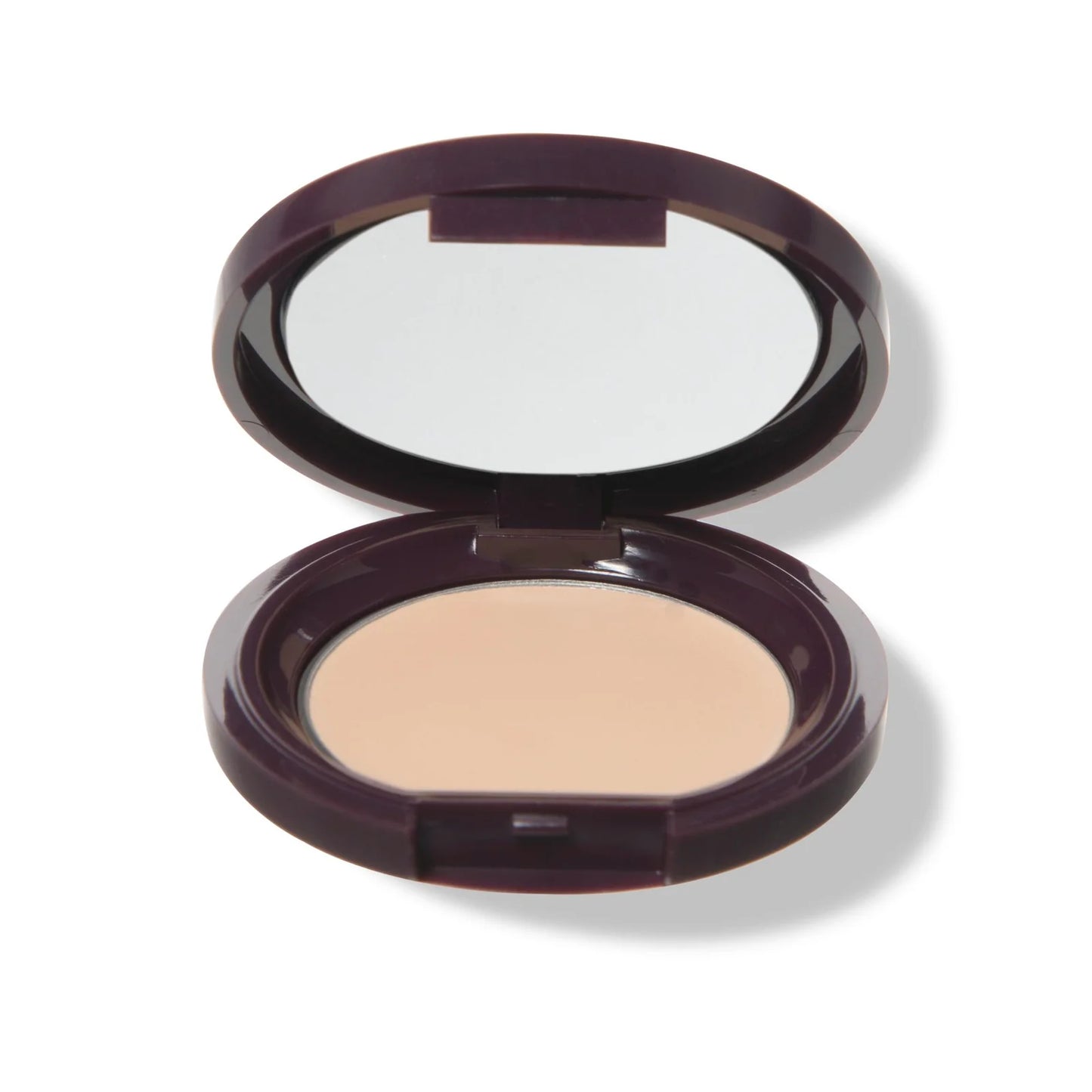 PREORDER: Fruit Pigmented® Long Last Concealer with Super Fruits