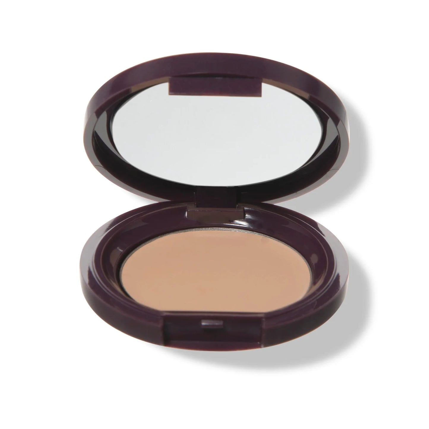 PREORDER: Fruit Pigmented® Long Last Concealer with Super Fruits