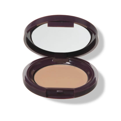 PREORDER: Fruit Pigmented® Long Last Concealer with Super Fruits