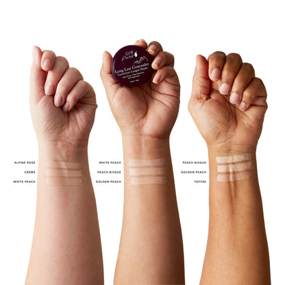 PREORDER: Fruit Pigmented® Long Last Concealer with Super Fruits