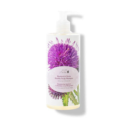 PREORDER: Burdock and Neem Healthy Scalp Shampoo