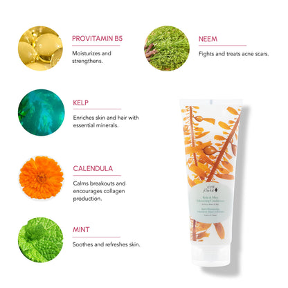 PREORDER: Kelp and Mint Volumizing Conditioner