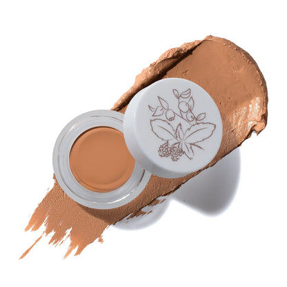 PREORDER: Fruit Pigmented® Long Last Concealer with Super Fruits