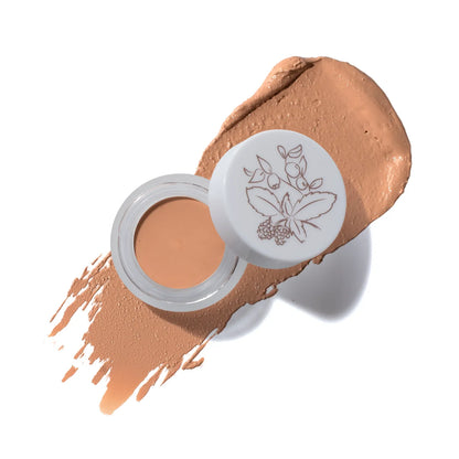 PREORDER: Fruit Pigmented® Long Last Concealer with Super Fruits