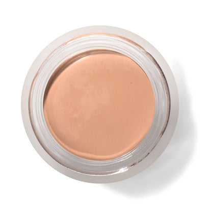 PREORDER: Fruit Pigmented® Long Last Concealer with Super Fruits