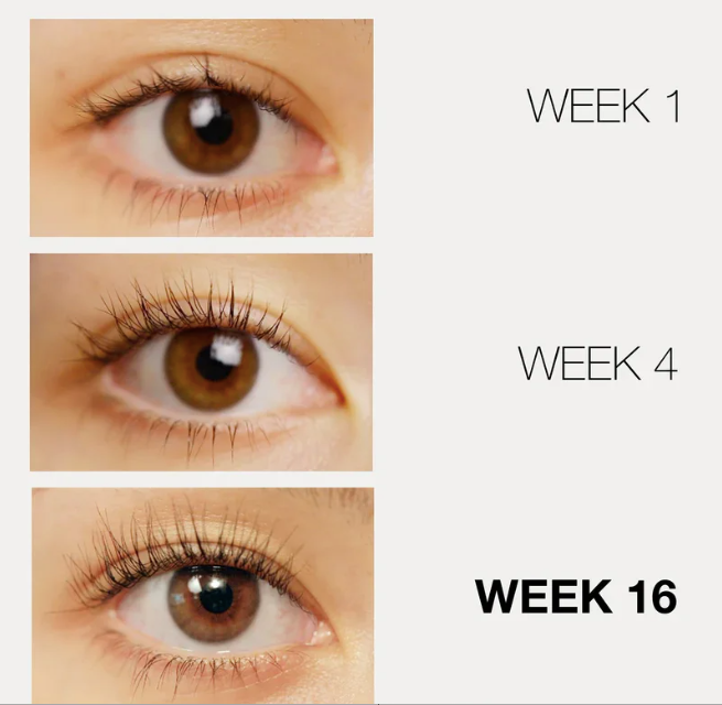 LASHFOOD Eyelash Enhancing Serum