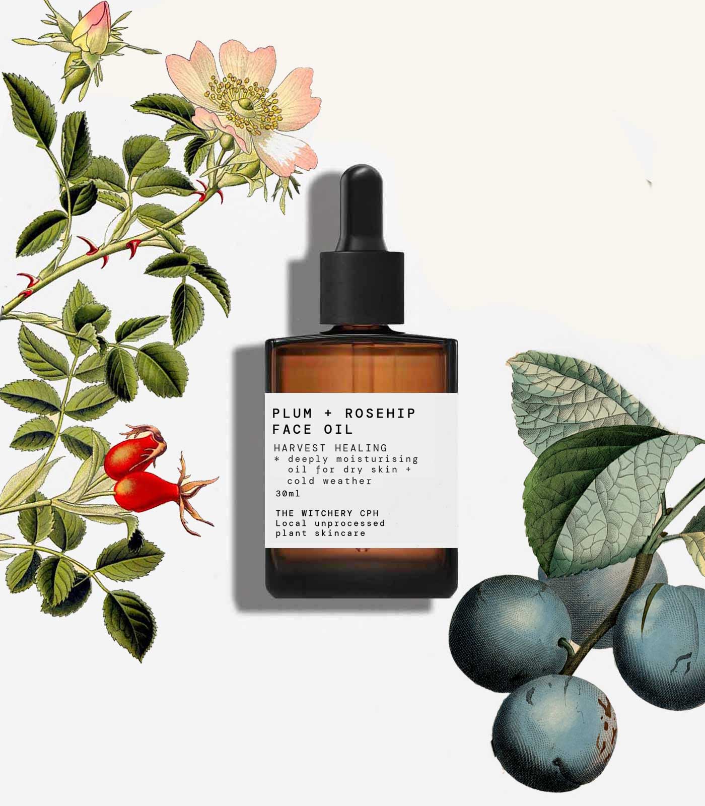 Andlitsolja við Blommu & Rósuber (Plum & Rosehip) - Kraftmikil fuktari