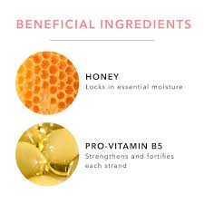PREORDER: Honey and Virgin Coconut Restorative Conditioner