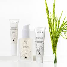 PREORDER: Fermented Rice Water Serum
