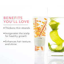 PREORDER: Kelp and Mint Volumizing Shampoo
