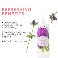 PREORDER: Burdock and Neem Healthy Scalp Shampoo