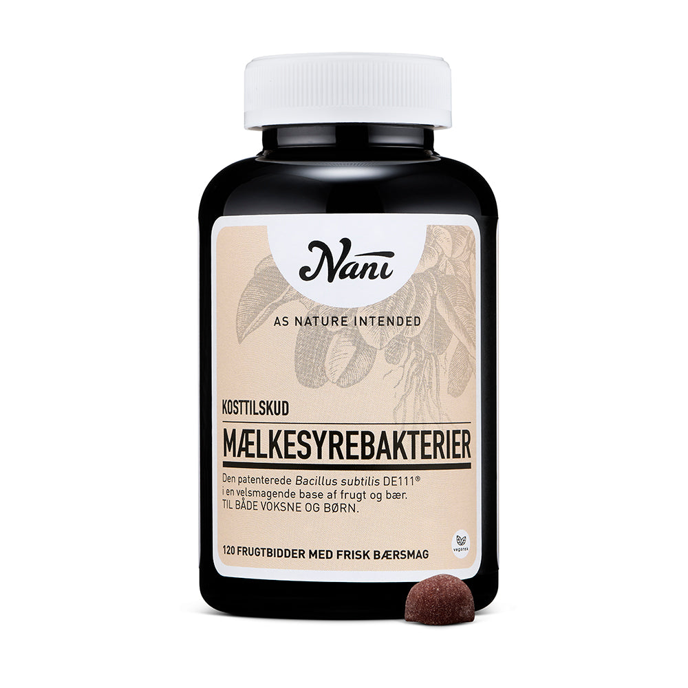 Mjólkasýrubakteriur - Fruktbitar