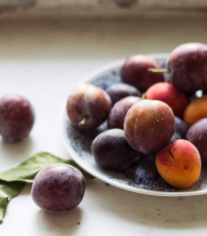 Andlitsolja við Blommu & Granatepli (Plum & Pomegranate) - Kraftmikil fuktari