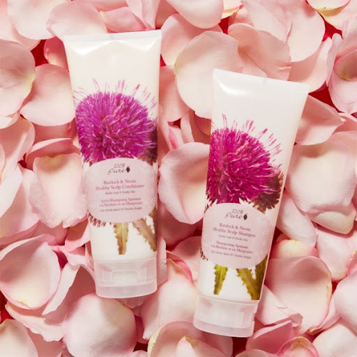 PREORDER: Burdock and Neem Healthy Scalp Shampoo